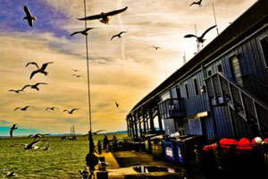 在线自动发货的在线DDOS平台攻击